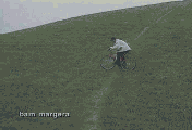 ptite vidéo de Jackass!!!lool